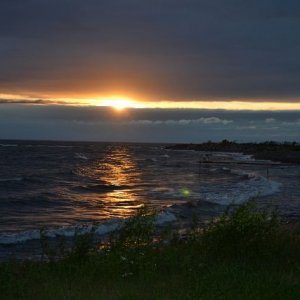 Semestern 2012