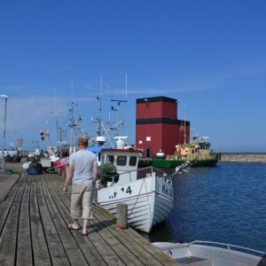 Semestern 2012