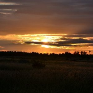 Semestern 2012