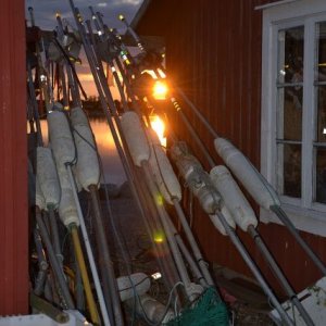 Semestern 2012