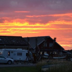 Semestern 2012