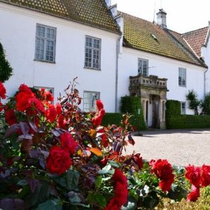 Semestern 2012