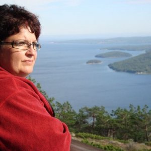Semestern 2011