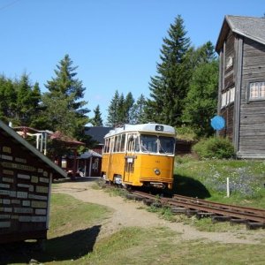 Semestern 2011