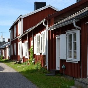 Semestern 2011