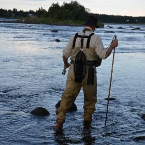 Semestern 2011