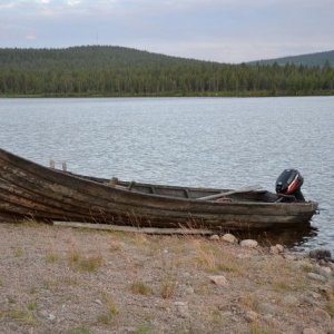 Semestern 2011