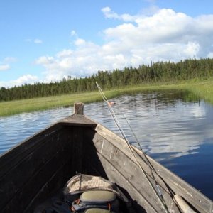 Semestern 2011