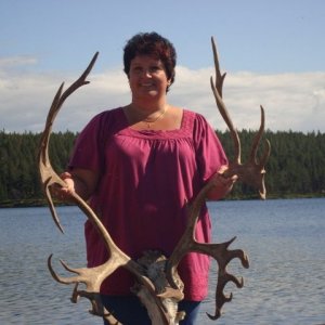 Semestern 2011