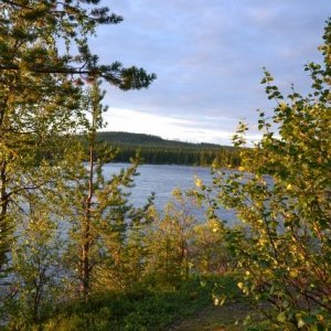 Semestern 2011