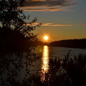 Semestern 2011