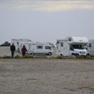 Semestern 2011