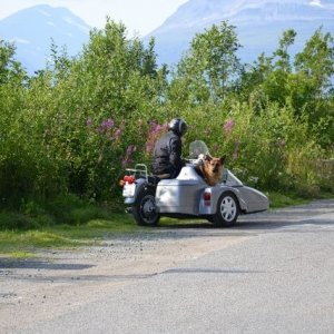 Semestern 2011