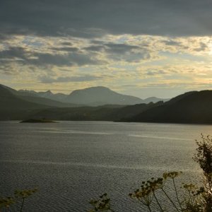 Semestern 2011