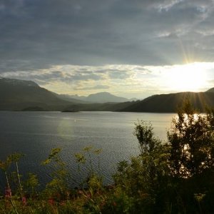 Semestern 2011