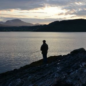 Semestern 2011