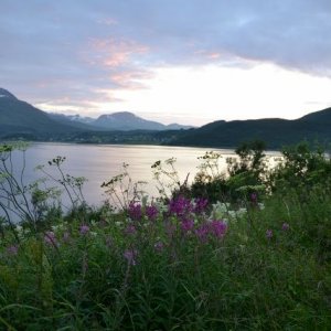 Semestern 2011