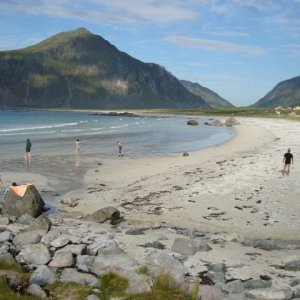 Semestern 2011