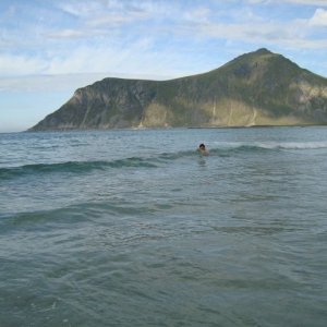 Semestern 2011