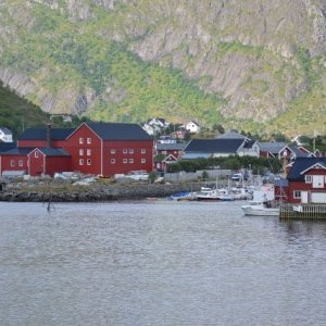 Semestern 2011