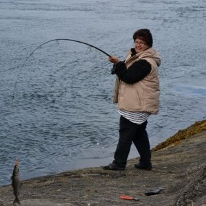 Semestern 2011
