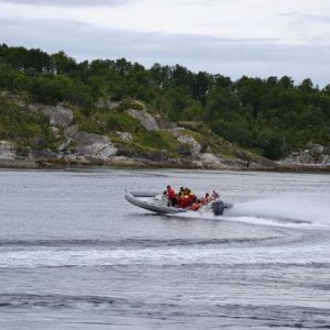 Semestern2011