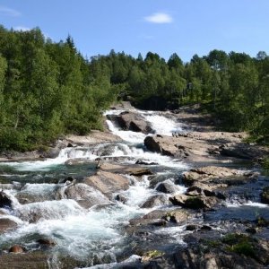 Semestern2011