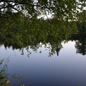 Semestern 2011