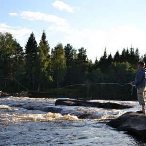 Semestern 2011