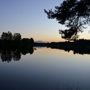 Semestern 2011