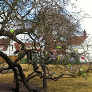 Påskträd I Torekov