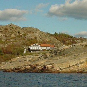 Lövöbilder 2