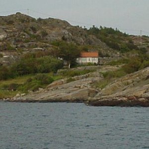 Lövöbilder 2