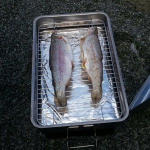 Egen Fiskad öring? : P