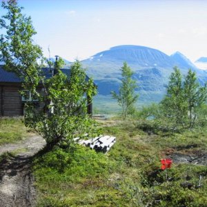 Semestern -13