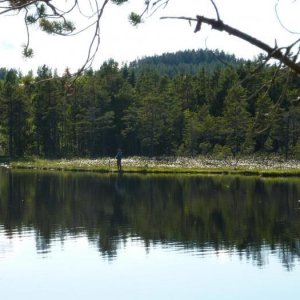 Åltjärn Trönö