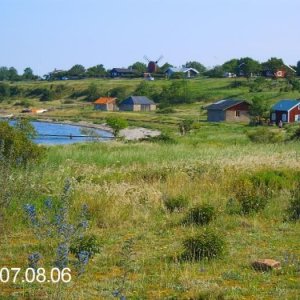 Vybild