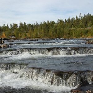 Vildmarksvägen