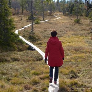 Lofsdalen