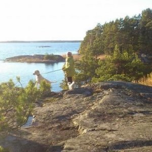 Stendörren I November!
