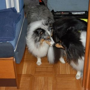 Fia O Tipi i husbilen