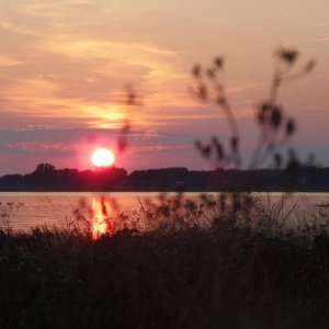Bua Hamn