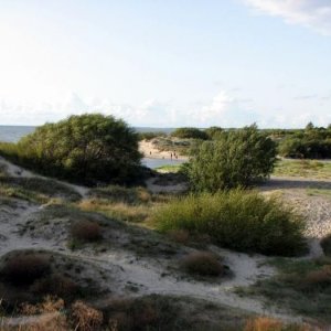 Lettland Litauen