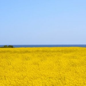 Öland