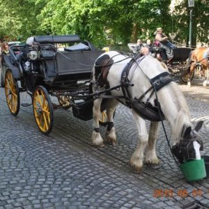 150601 132 Brügge