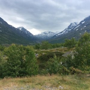 Norge -14