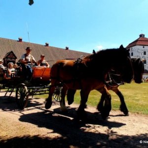 Midsommar På Hovdar Slott