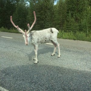 Sett På Vägen